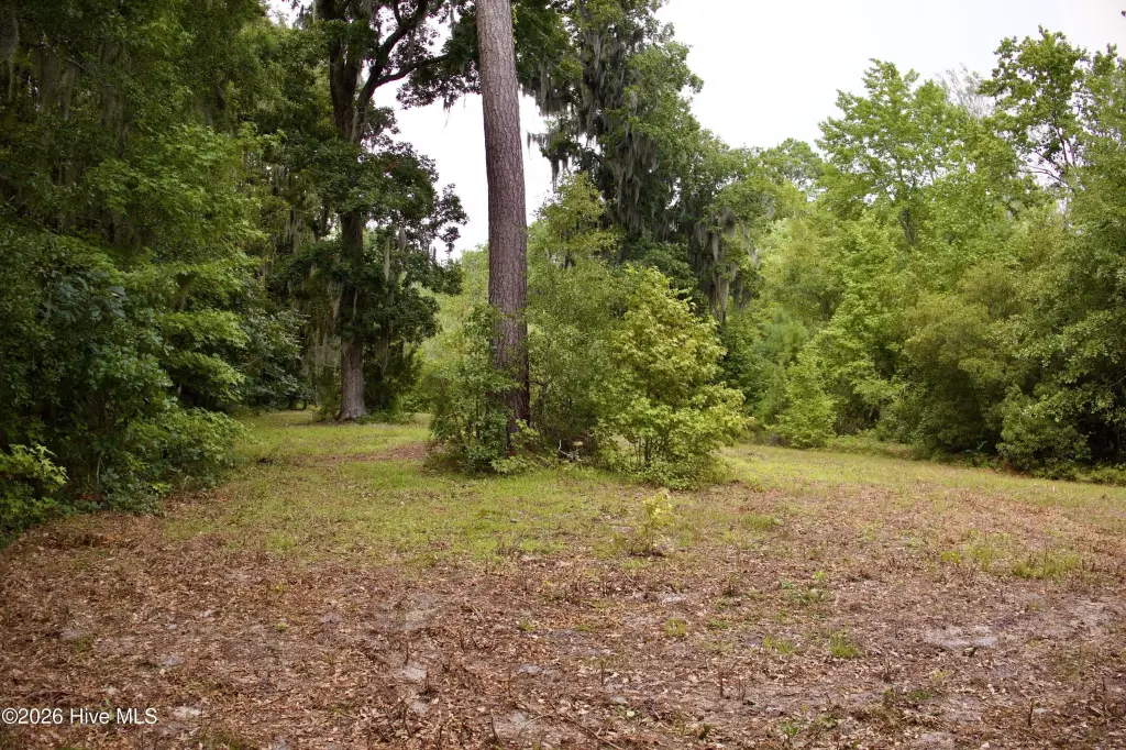 Picture 21
