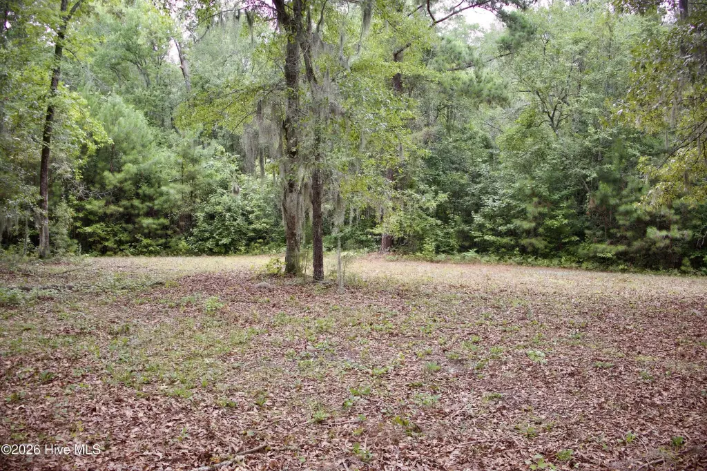 Picture 11
