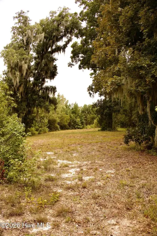 Picture 17