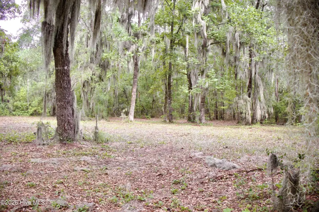 Picture 26