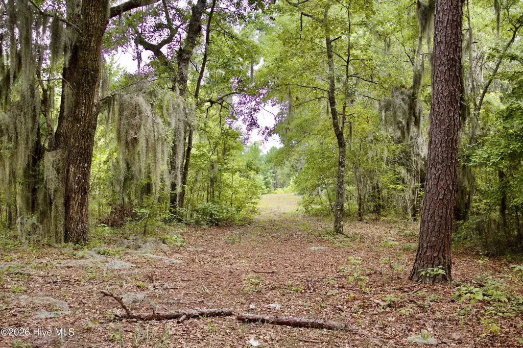 Picture 16
