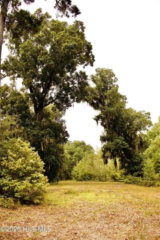 Picture 23