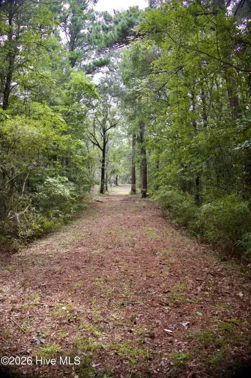 Picture 34