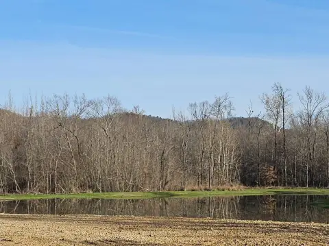 Land with Creek and Pond