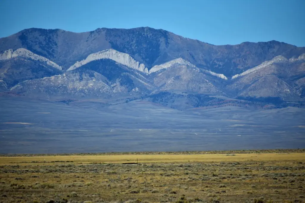 Picture 20
