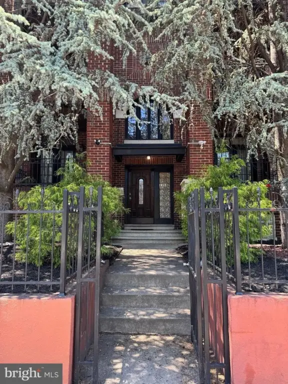 Picture 28
