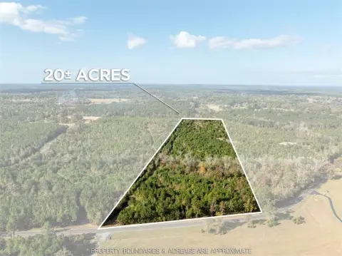 20 Acres Near Lake Gladewater