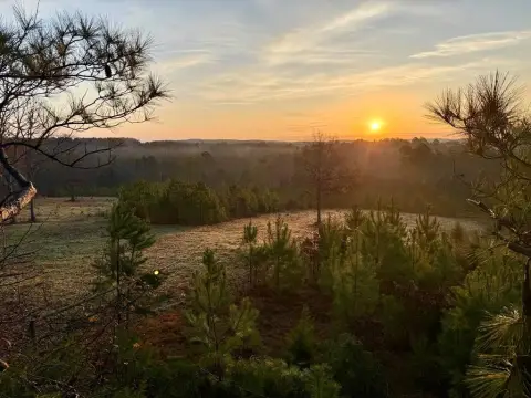 Yalobusha County Hunting & Recreation Land