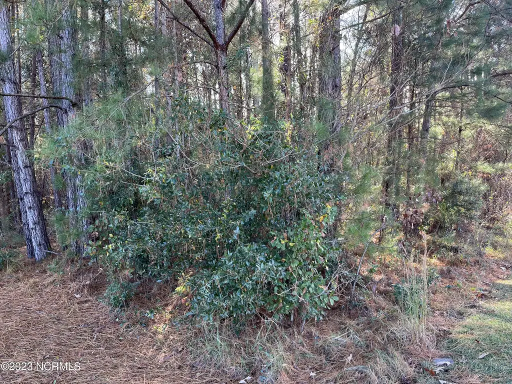 Picture 6