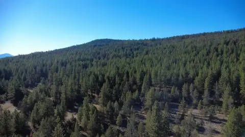 914 Acres Recreation/Timber Land