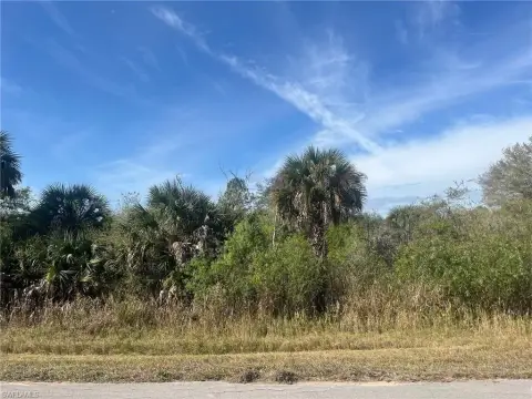 Residential Land in Naples, Florida