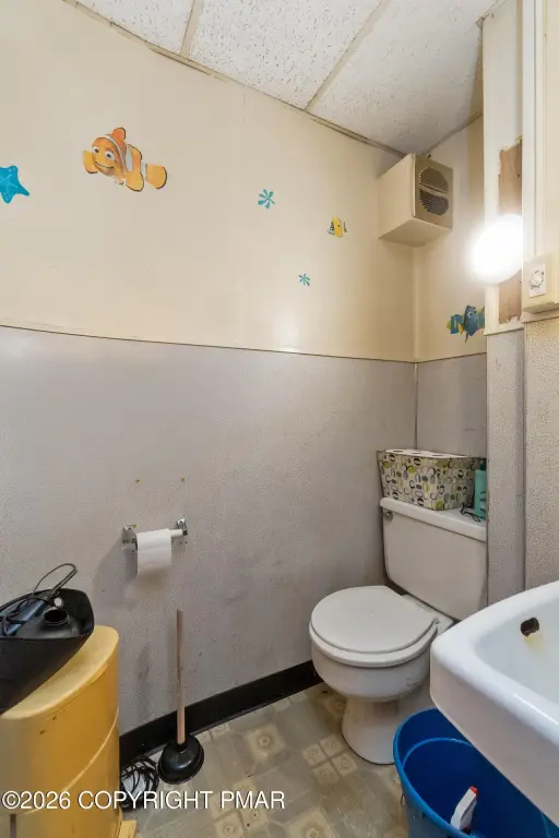 Picture 27