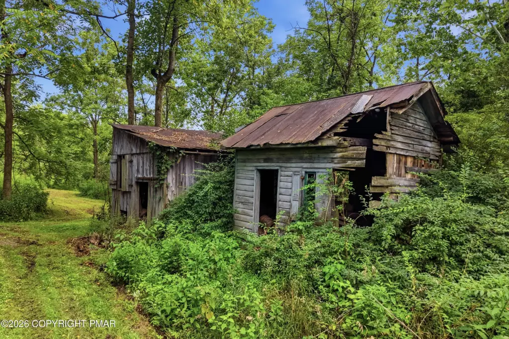 Picture 81