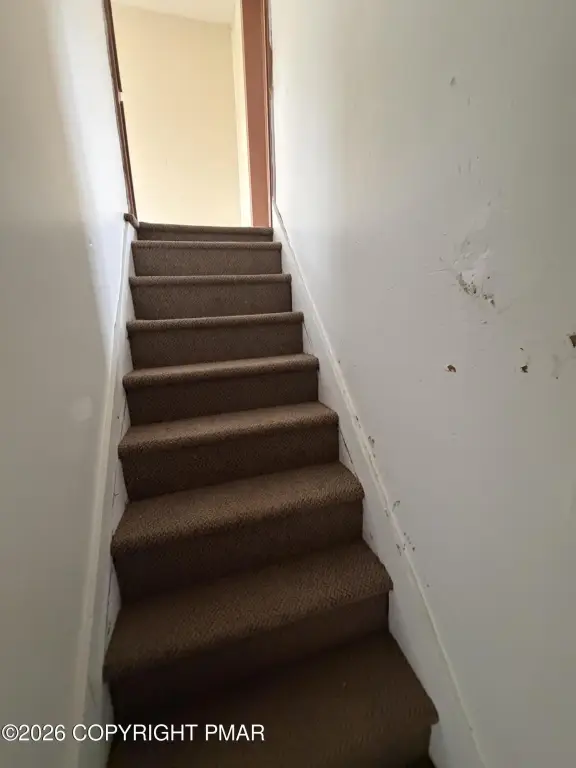 Picture 47