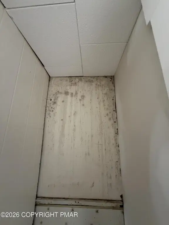 Picture 82