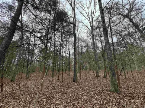 Unrestricted Wooded Parcel Near Choctaw