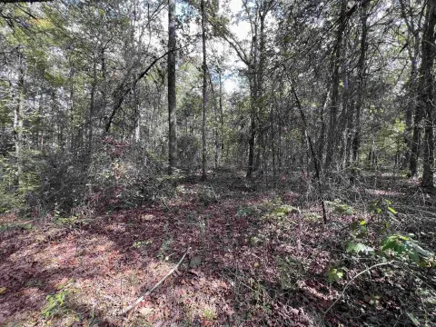 Unrestricted Wooded Land Near Clinton