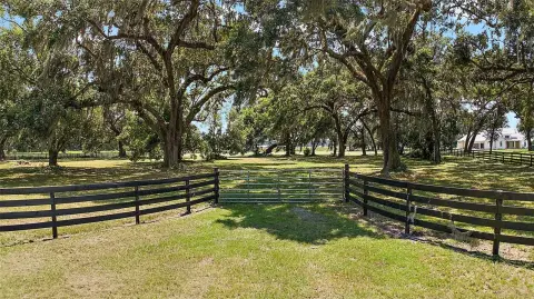 Lakefront Acreage in Oxford, FL