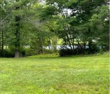Hiawassee GA Lake Access Lot