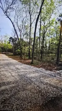Ten Acres Wooded Land Russellville
