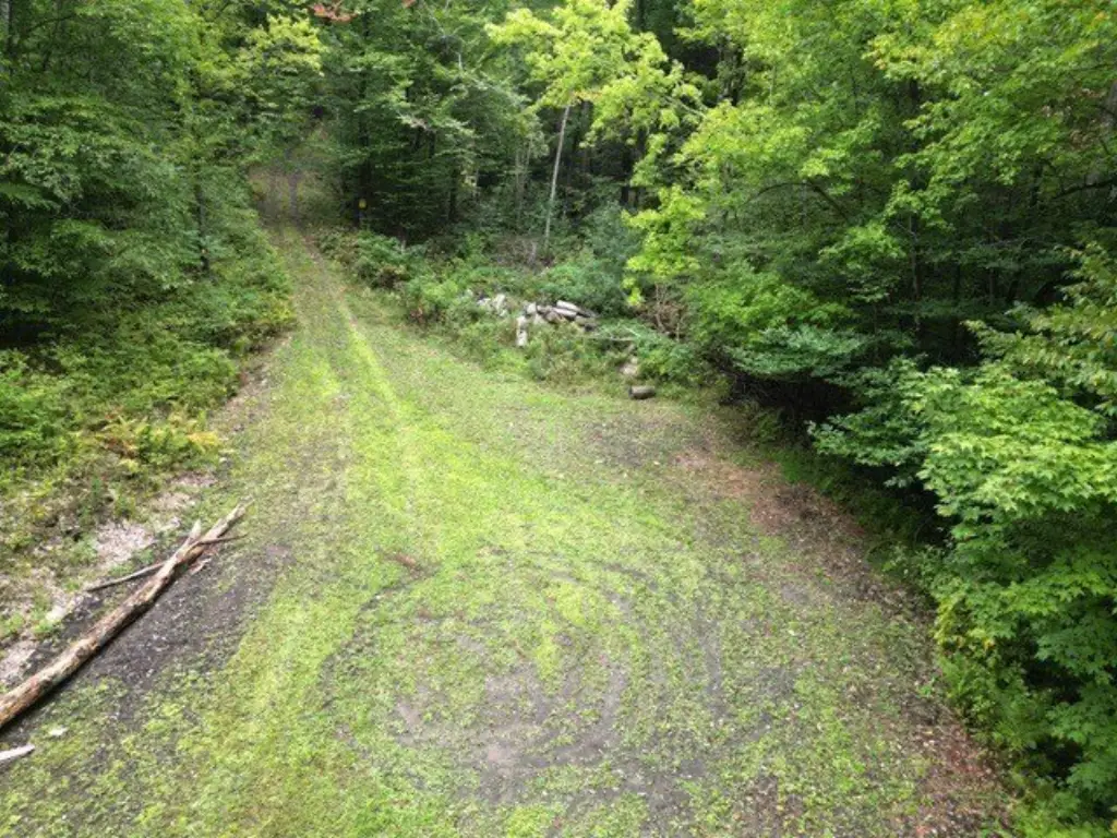 Picture 30