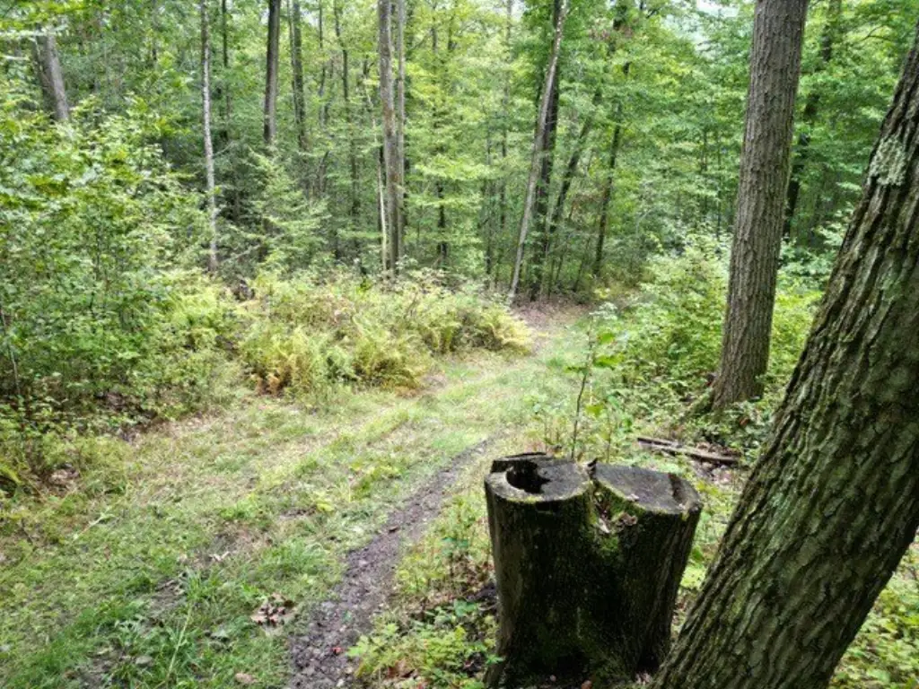 Picture 48