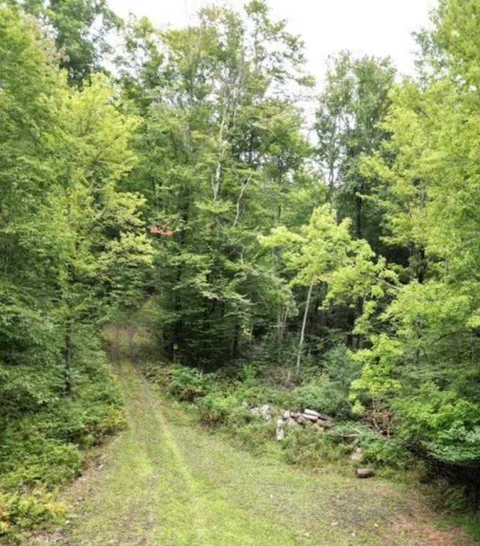 Picture 31