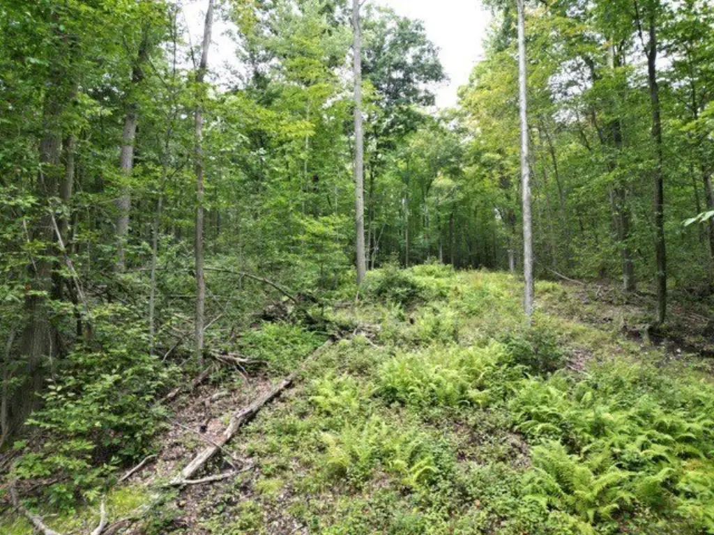 Picture 39