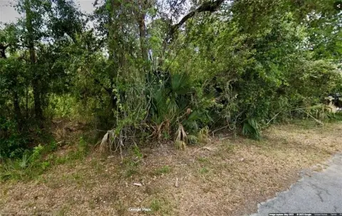 Residential Lot in Alva, Florida