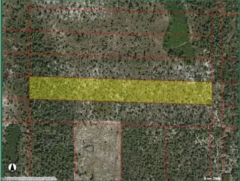 Naples Land Parcel For Sale