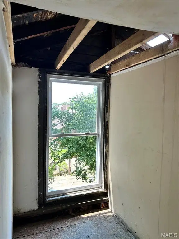Picture 31