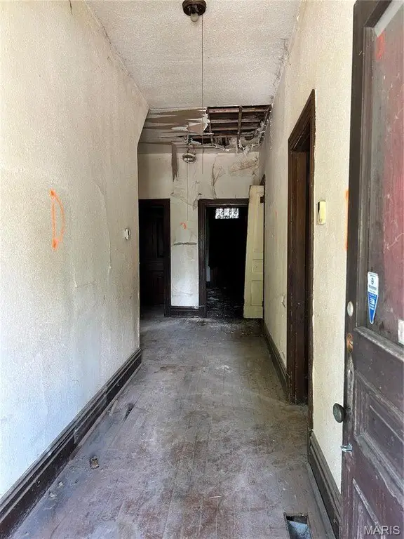 Picture 7