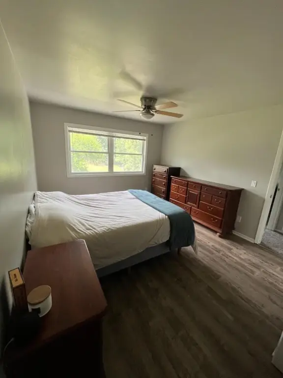 Picture 38