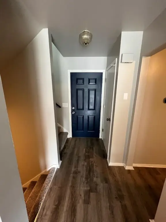 Picture 20