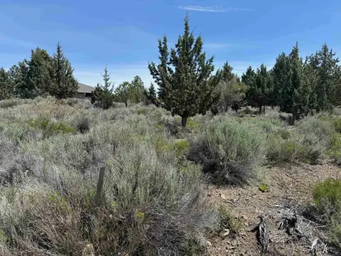 Buildable Lot in Weed, CA