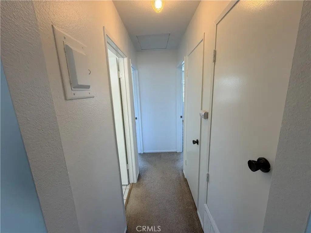 Picture 48