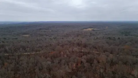 Premier Hunting Land in Yazoo