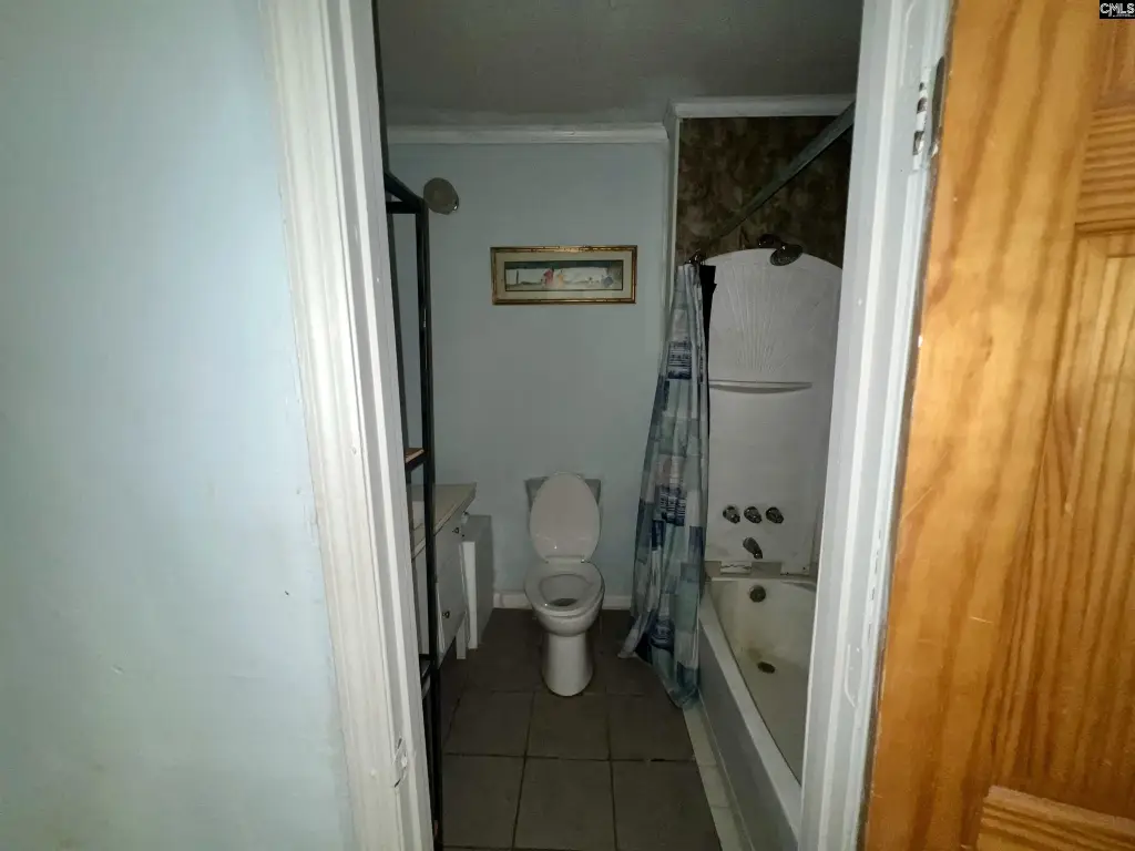 Picture 5