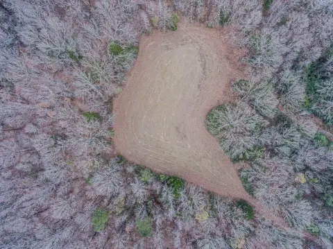 Abbeville Acreage: Nature Lover's Paradise