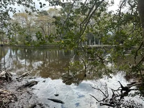 Waterfront Land in Reedville, VA