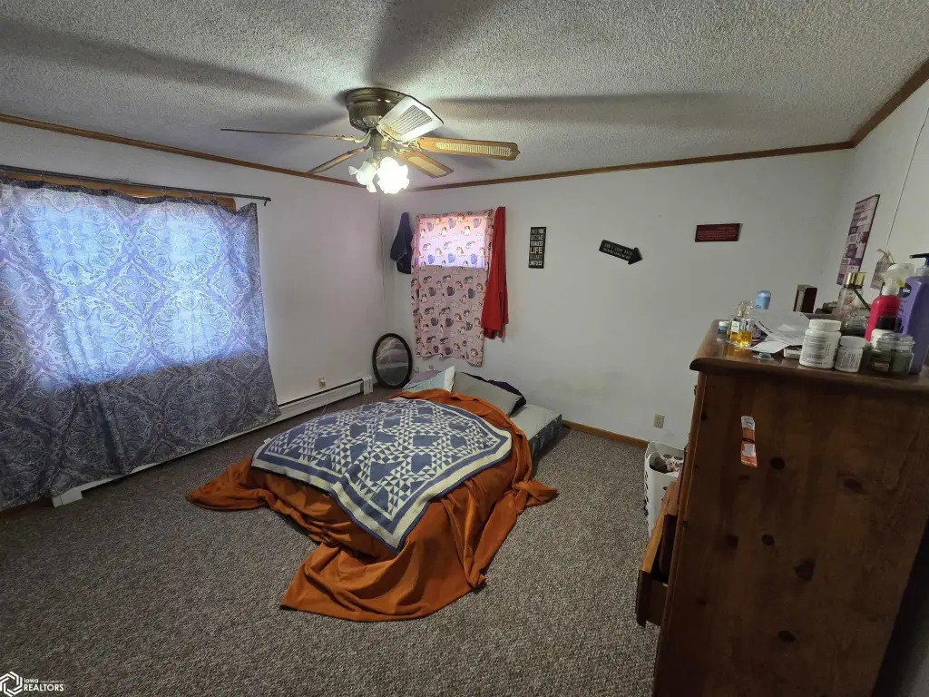 Picture 20