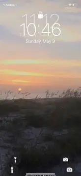 Beachfront Lot in Gated Enclave