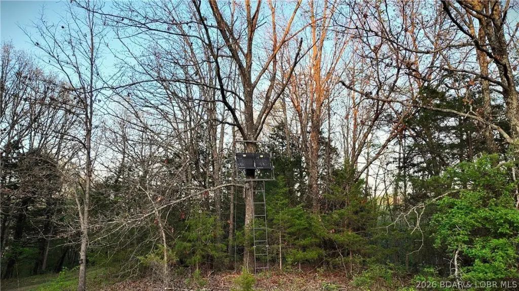 Picture 11