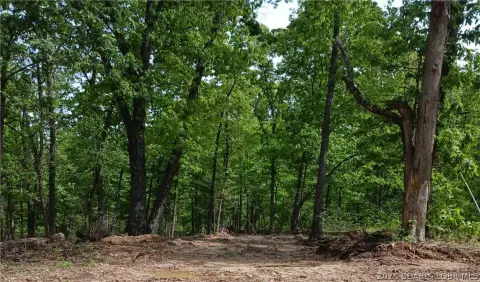 Secluded Land Near Lake Ozarks