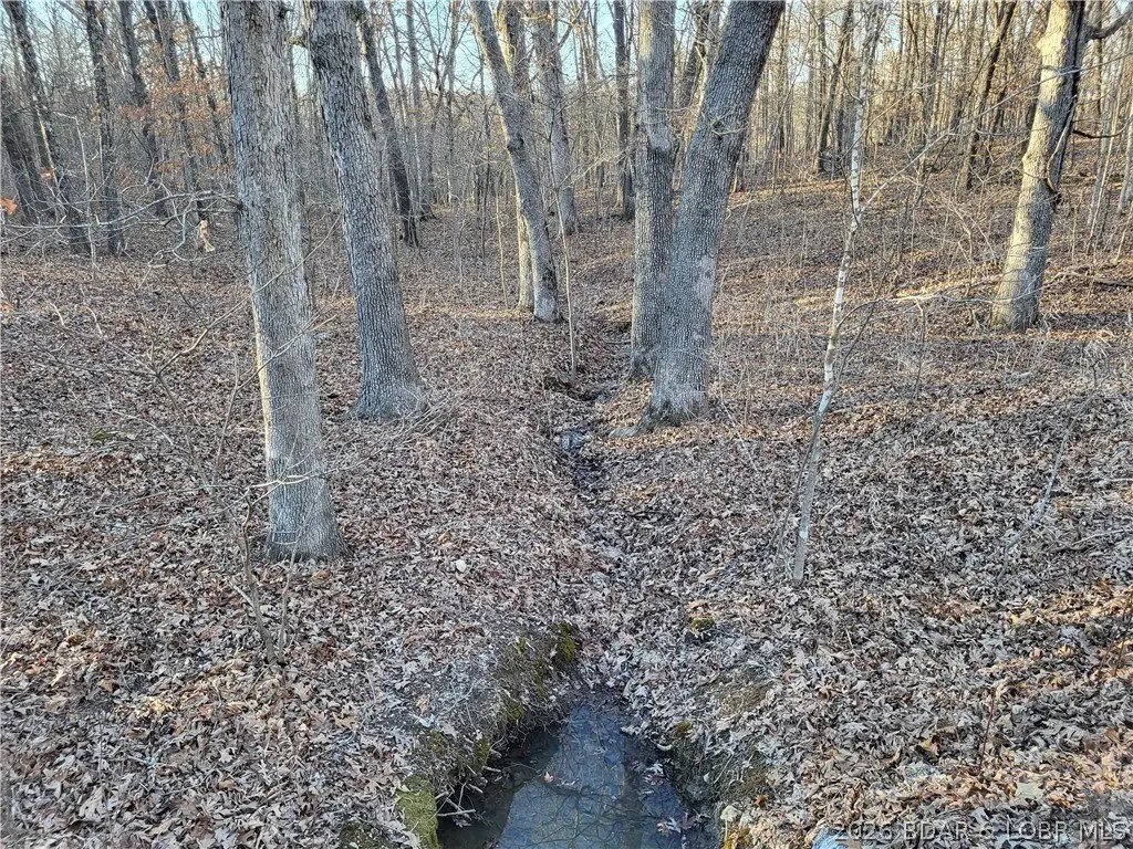 Picture 2