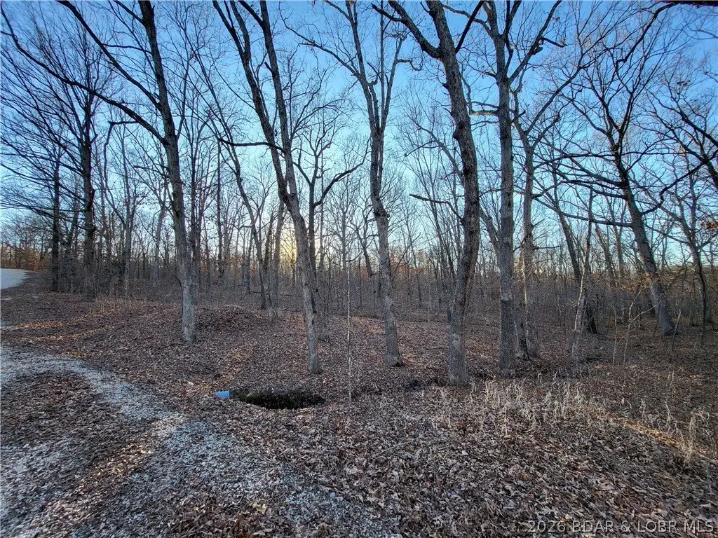 Picture 17
