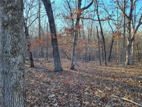 12 Acres Wooded Land