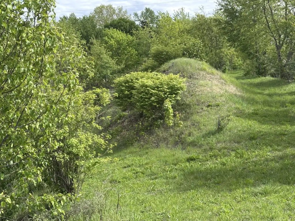 Picture 49