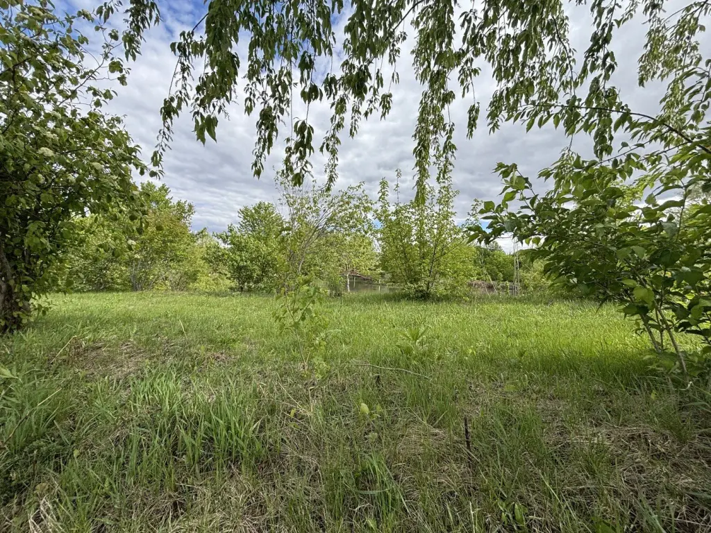 Picture 47