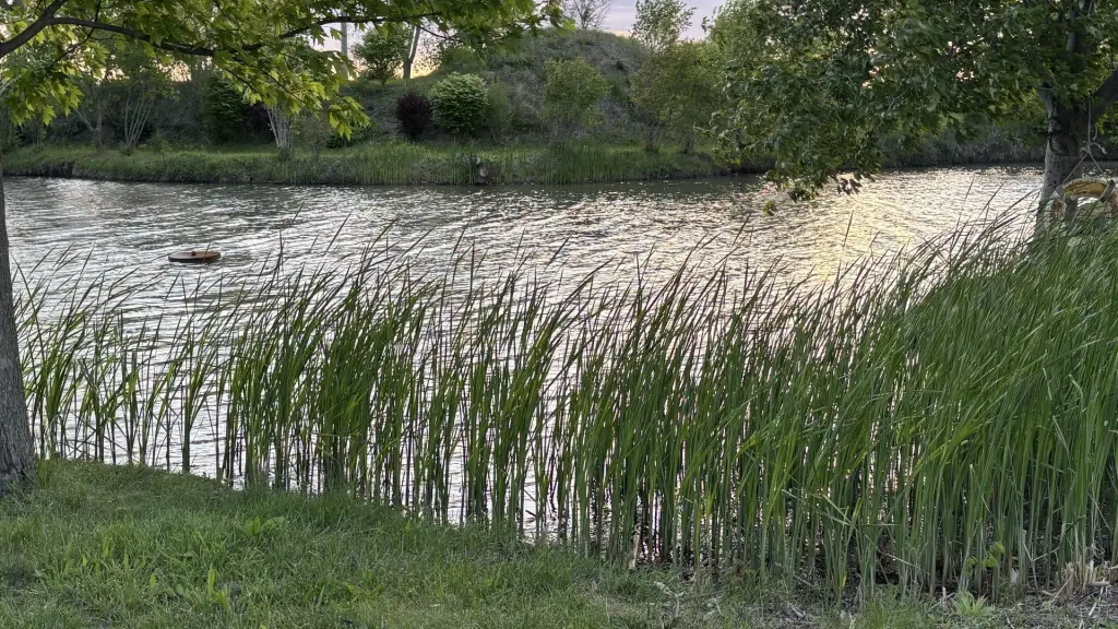 Picture 33